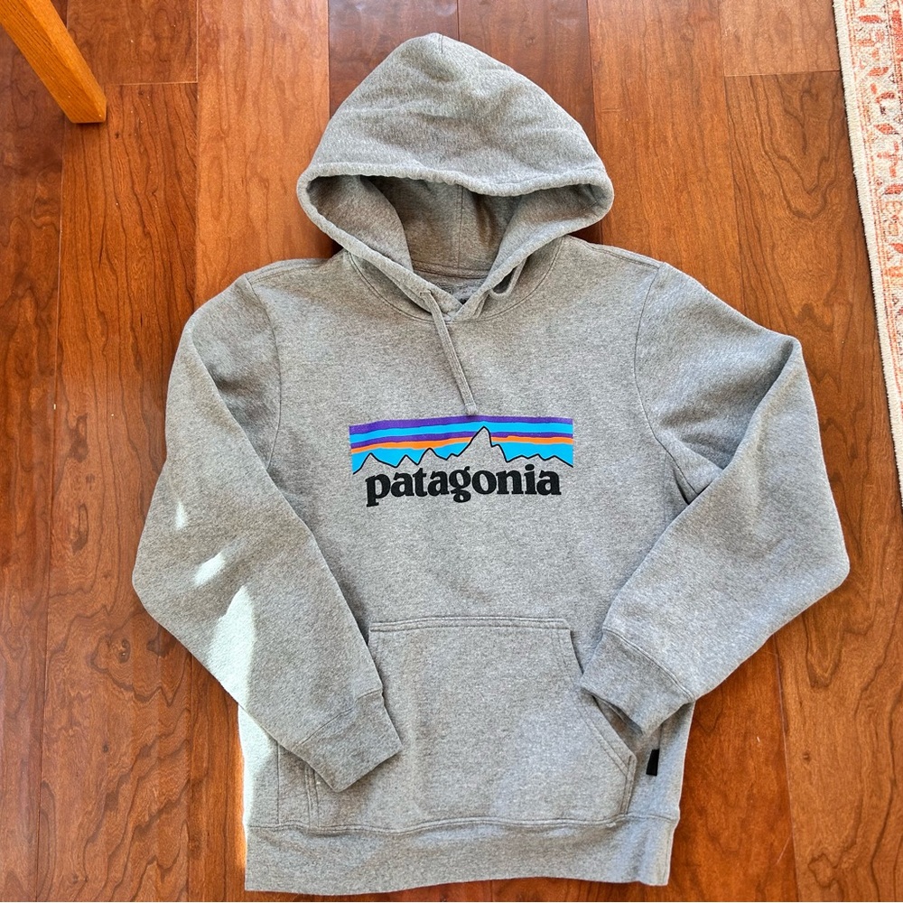 Patagonia Men’s Gray Hoodie, Size XS